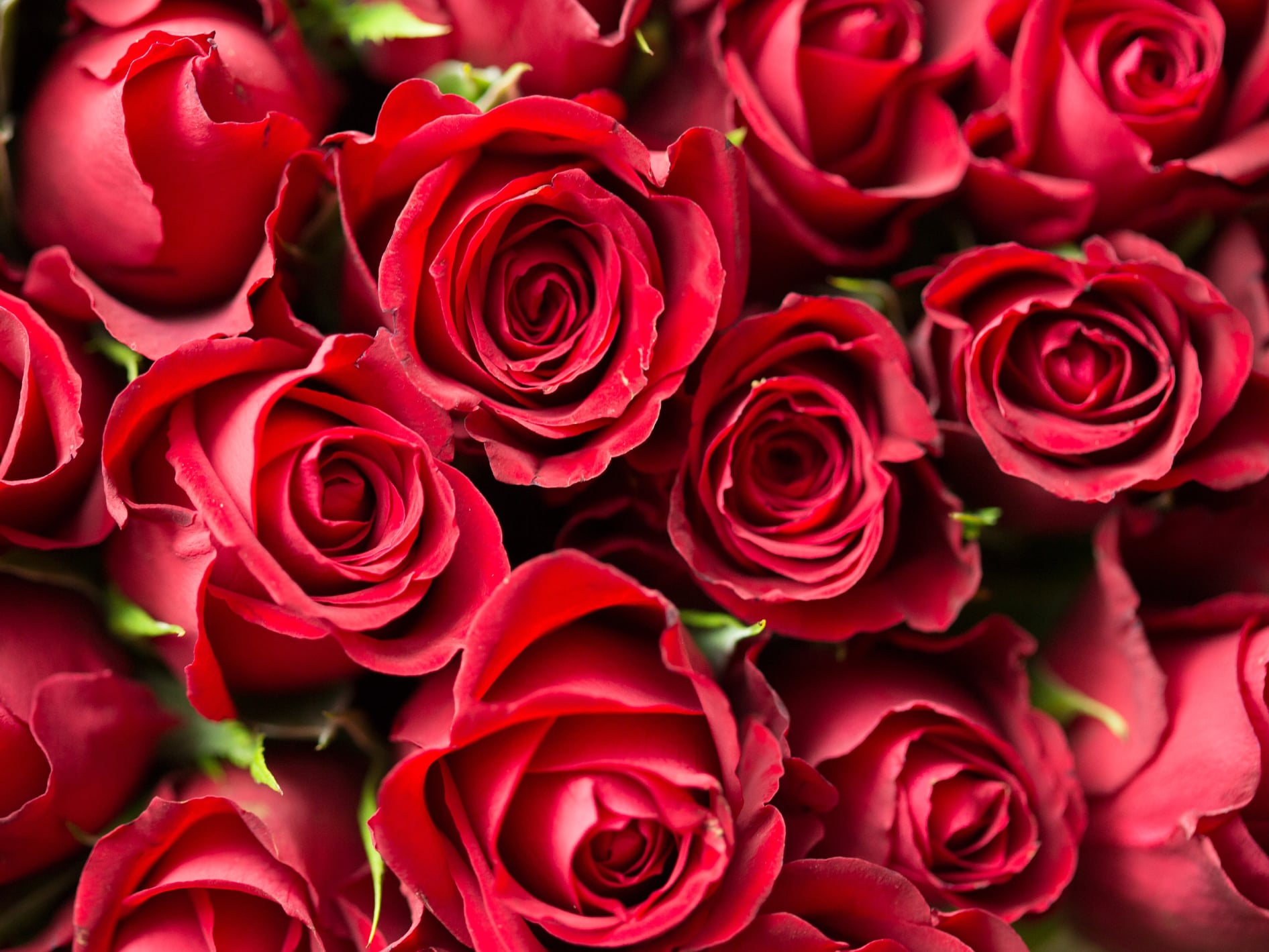 romance